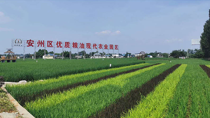 綿陽綠源米業(yè)有限公司總經(jīng)理：卿華明