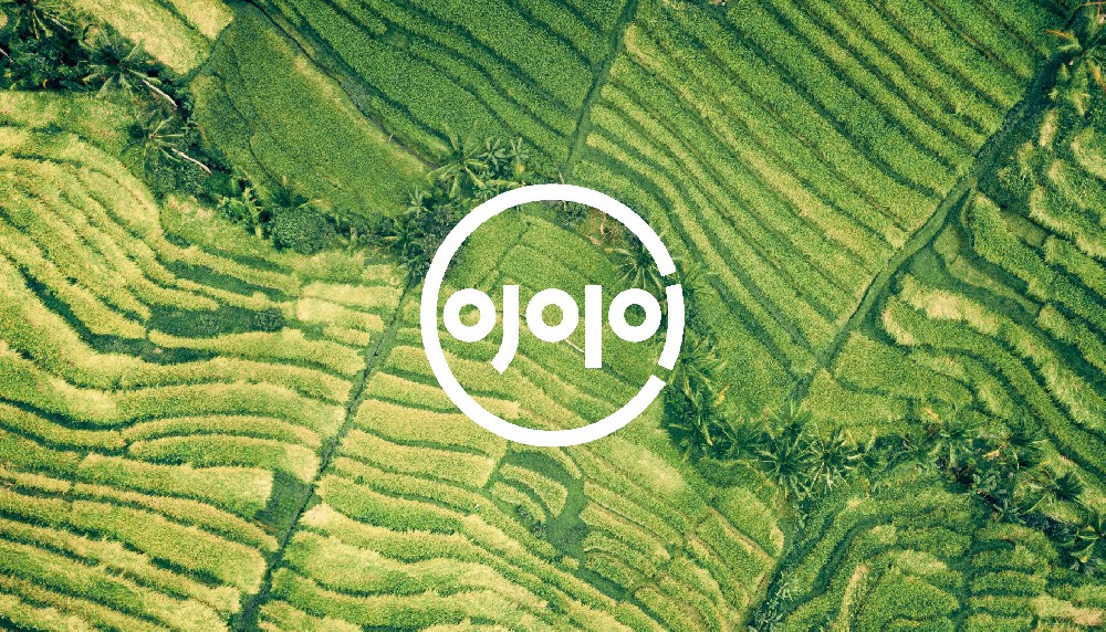 四川綿陽：以創(chuàng)城促進(jìn)食品產(chǎn)業(yè)高質(zhì)量發(fā)展——2023中國（西部）健康食品博覽會食品安全護(hù)航健康生活論壇召開